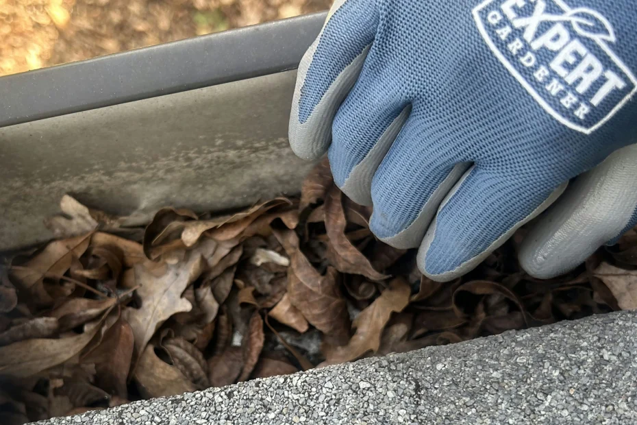 Glenville Gutter Cleaning